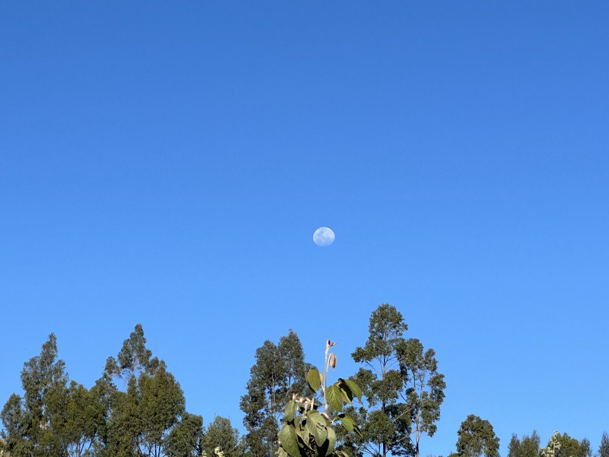 iosmaje's tweet photo. Sol y luna, bendigan al Señor. https://t.co/X6RkPQo8Hs