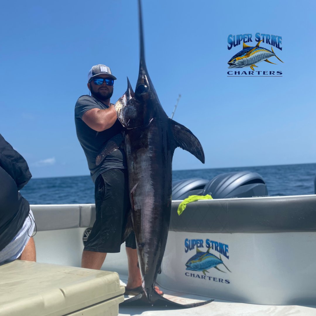 Swordfishing with the Steele crew lead by Captain Willy B and Deckhand Eddie! Excellent catch on a Thursday!

#fishing #Louisiana #Louisianafishing #swordfish #gulfcoast #saltwaterfishing #fishingcharter #summer #coast #fish #superstrike #superstrikefishingcharter