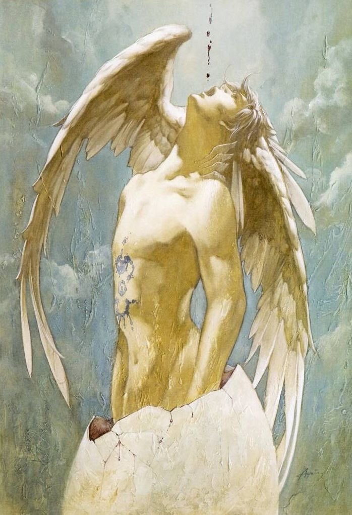 Xeo ¯³ tweet media