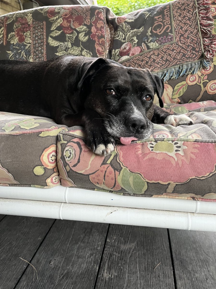 SarahEwy's tweet photo. Deck furniture to match her tongue. These are the luxury services we provide. https://t.co/pEmo4LHTWY