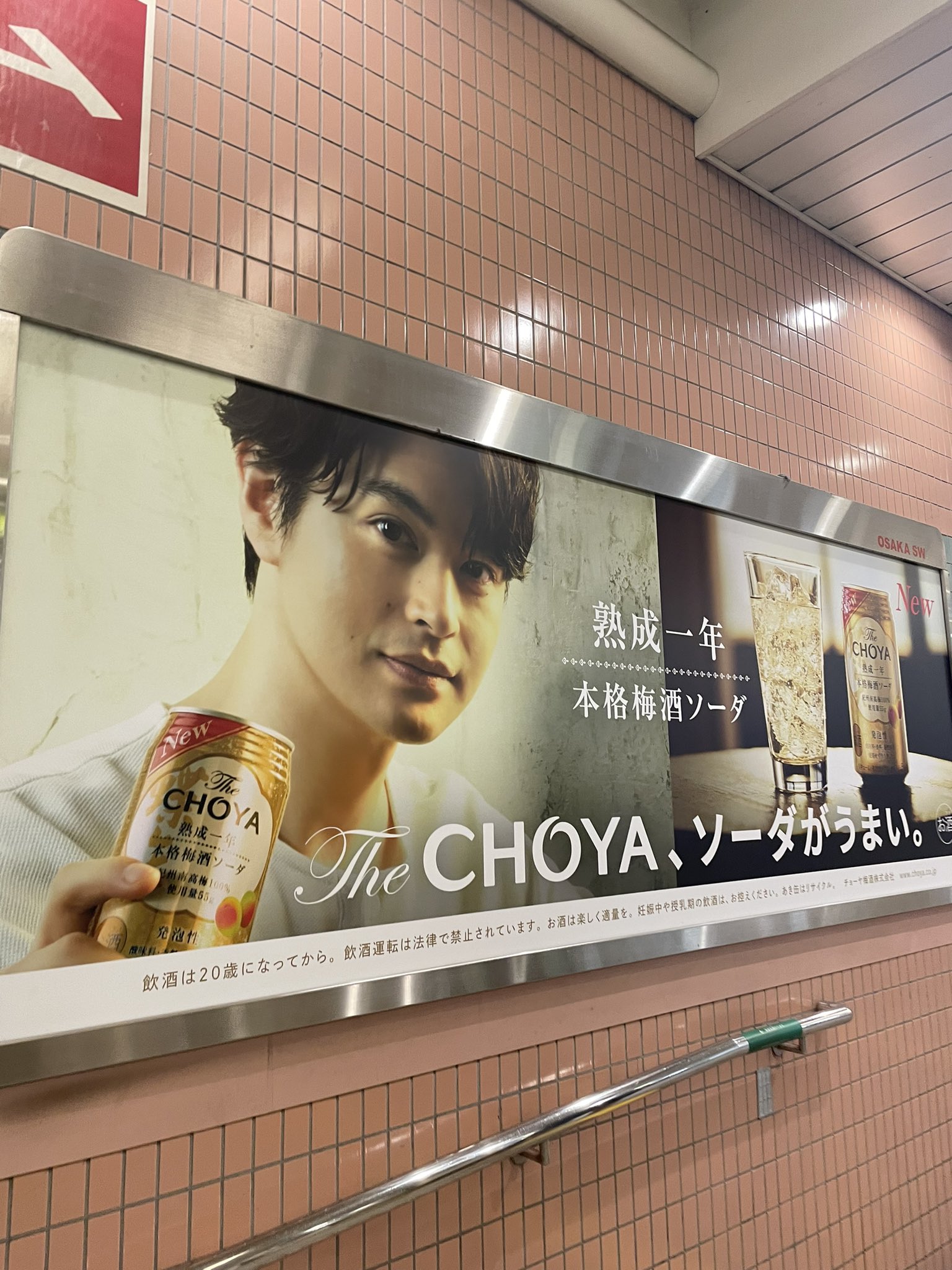 【大型配送タイプ】瀬戸康史さん掲載6ページ（ポスターサイズ） 瀬戸康史さん掲載ページ（ポスターサイズ）#51837