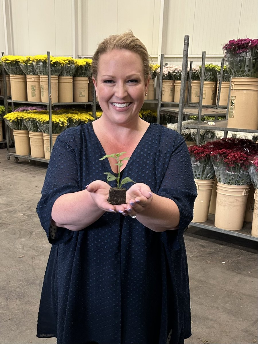 kellipaddon's tweet photo. Great time this afternoon at Dutch Heritage Greenhouse learning all about the operation & Chrysanthemums with Minister @Pam_Alexis_ & #Chilliwack MLA @dacoulter
Thank you Art & Lukas Breugem for taking time to show us around and share with us about the business.
#GrowBC #BuyBC https://t.co/WTobAcsRqs