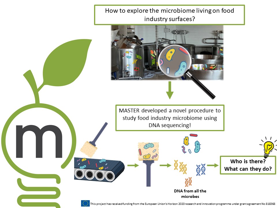 We also developed Standard Operating Procedures (SOPs) for #microbiome mapping in food industries to help reduce food contamination 🦠and spoilage. However, several microbes present on food industry surfaces are beneficial for the production and may have a positive role!