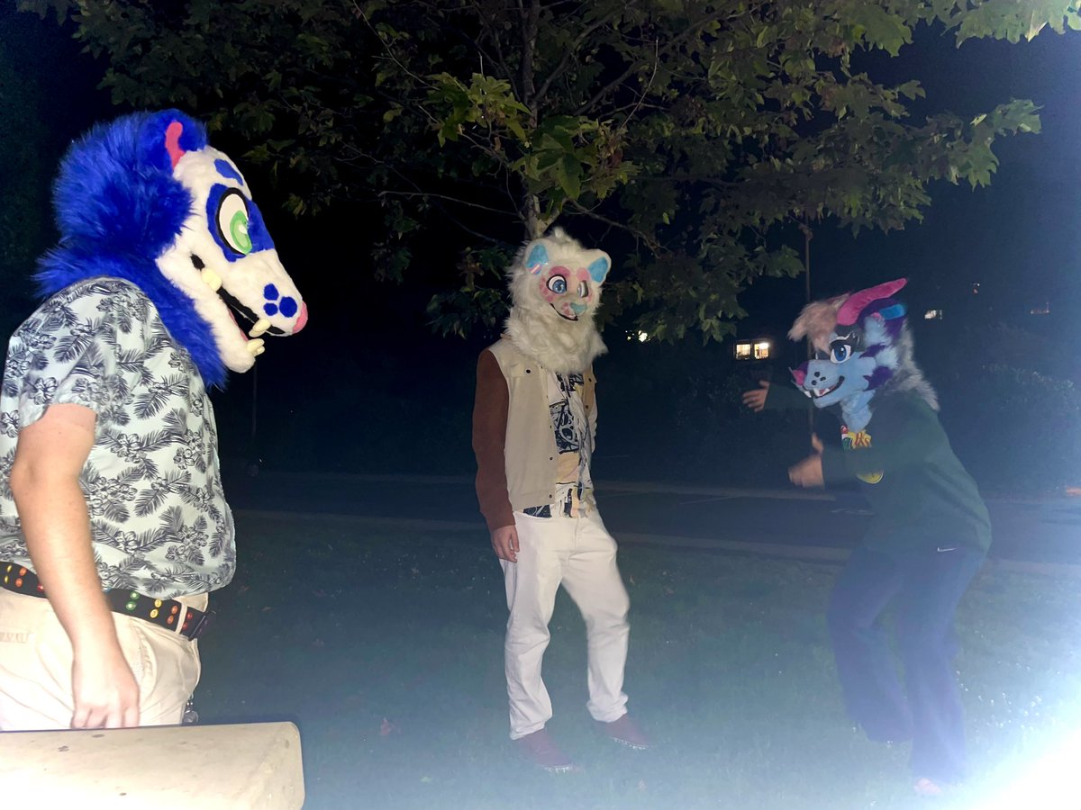 catamarasnep's tweet photo. Photos with friends! 📸

@SkipDeDogphin @Vallie_____ @doodle__drawz @bug_brawler @BobabunPlushies @afoxcatthing https://t.co/feJFIORaVT