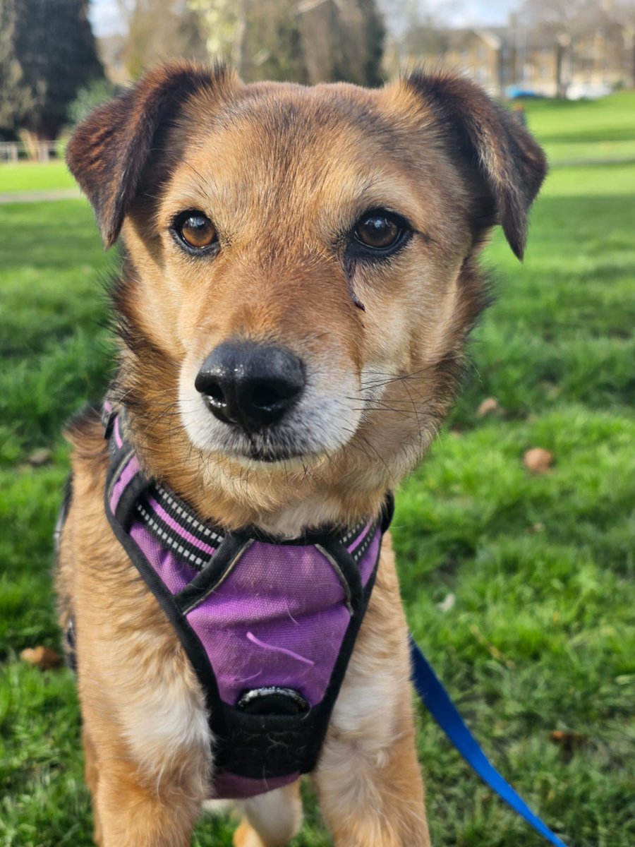 BiteMe #SBS Winner tweet media