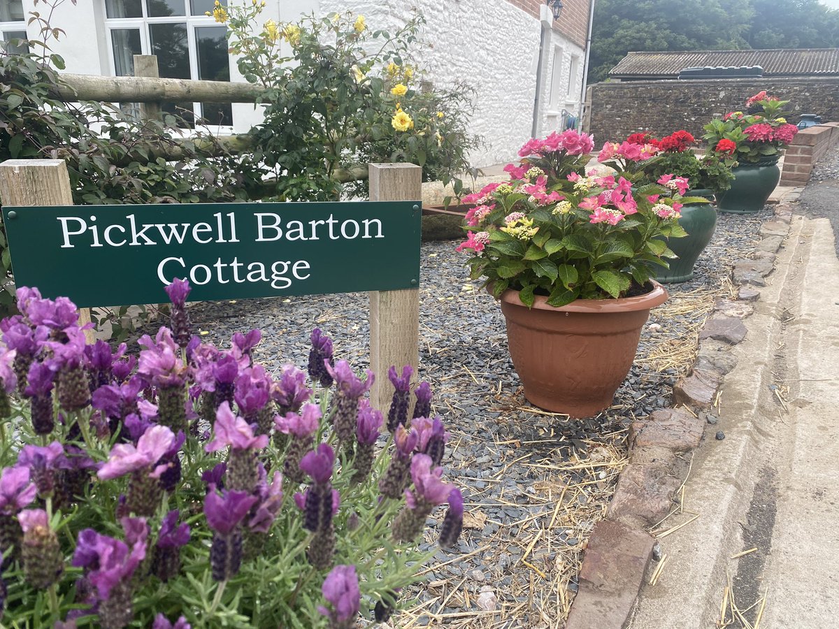 Pickwell Barton Holidays tweet media
