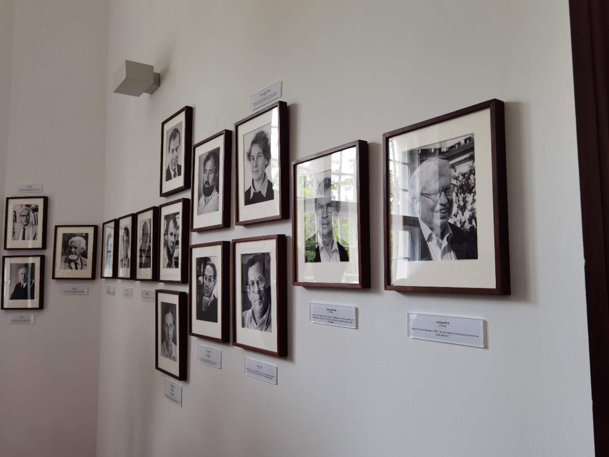 Yong Peng tweet media