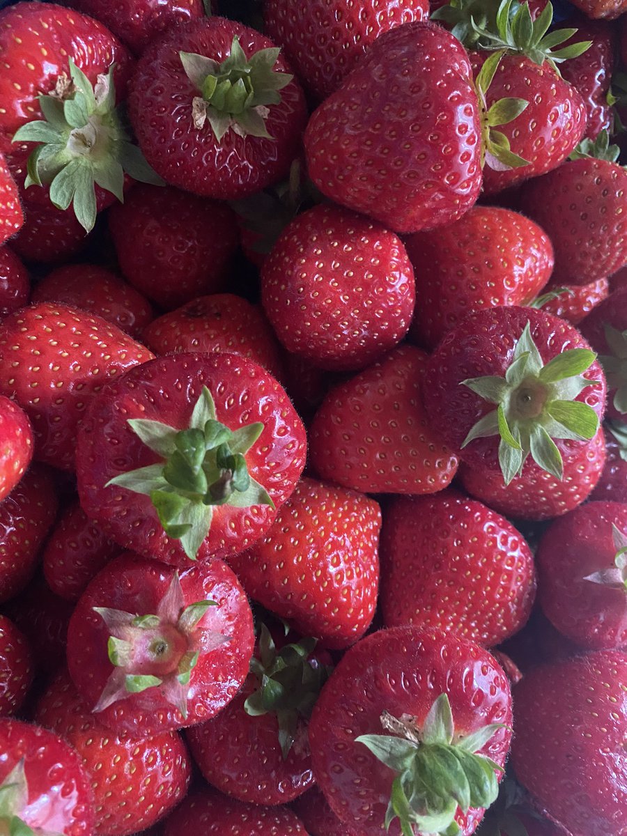 It’s that time of year 💕#strawberries 
#northdevon 
#fruit 
#devonfruit #seasonal