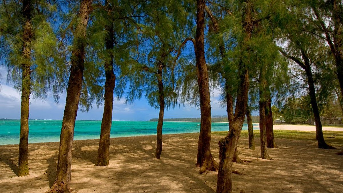 Mauritius Island tweet media