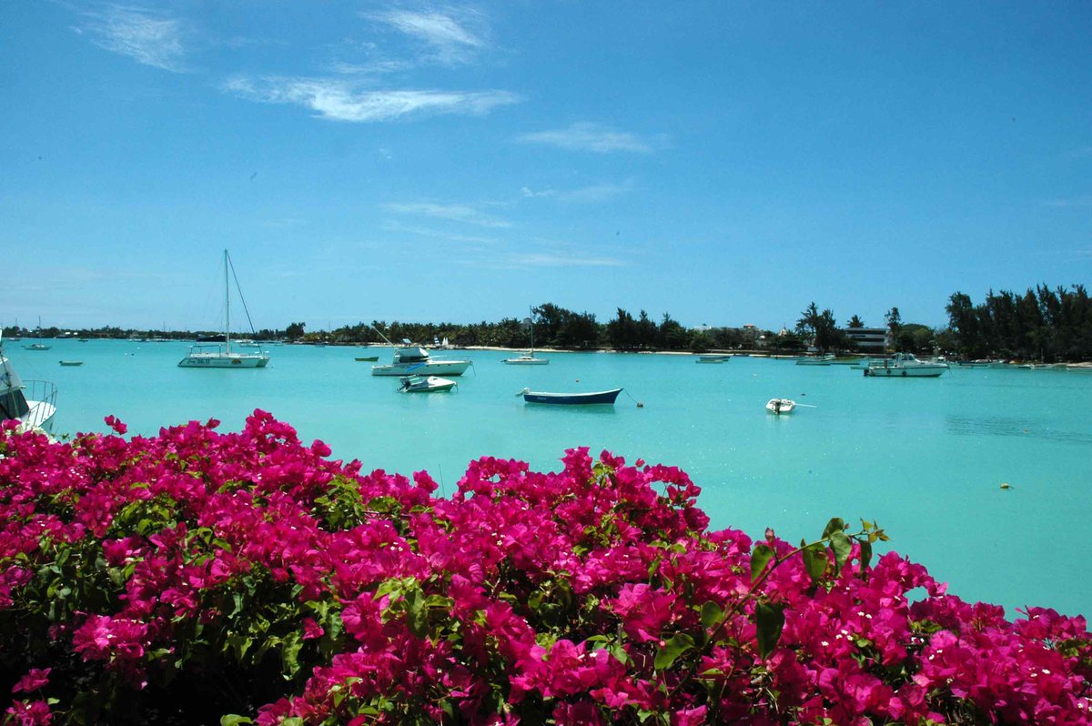 Mauritius Island tweet media
