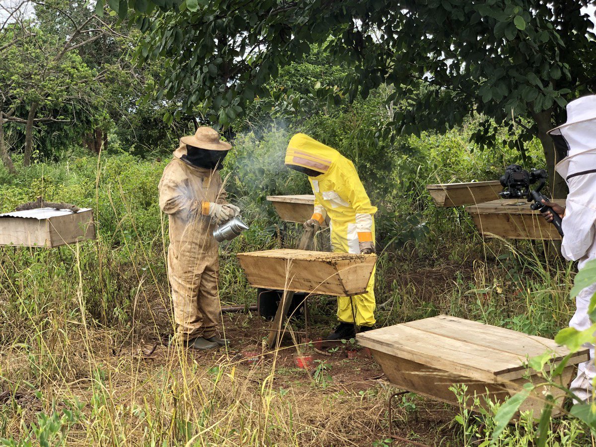 HAPPY NEW MONTH
Our community only works when we support one another. Thank you for joining us today. Your continued support means the world to us. Buy our honey today for your antioxidants. 
#amomahives #dbeeshoney #honey #bees 
Contact: 0543212536