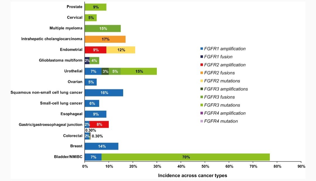 Incidence of FGFR aberrations across cancer types

academic.oup.com/oncolo/advance…