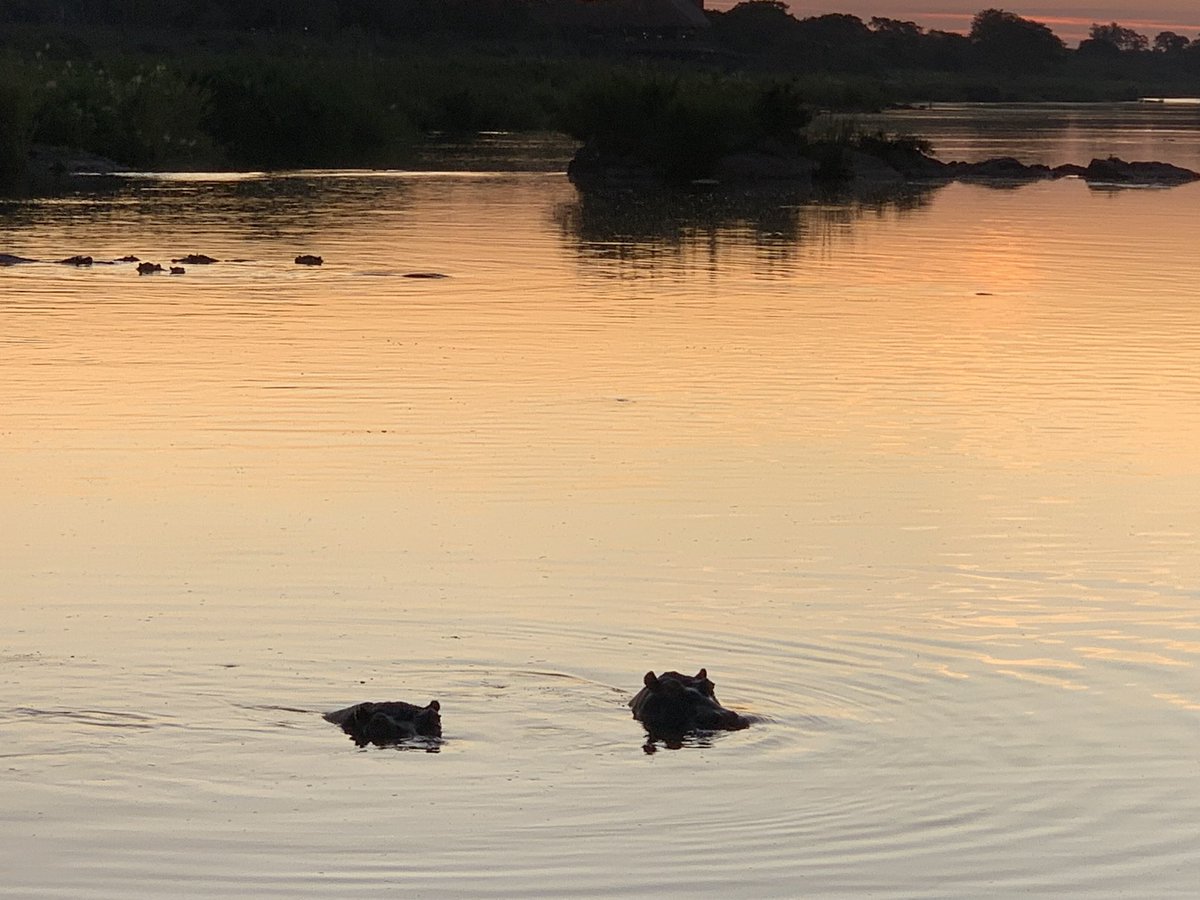 grightford's tweet photo. Sunset and sunrise in the Kruger Park. Serene and still. https://t.co/ZMhkNNurKL