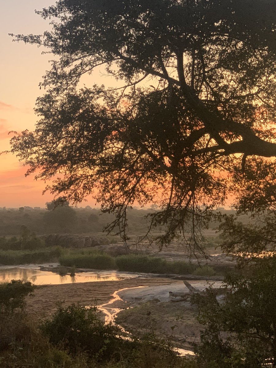 grightford's tweet photo. Sunset and sunrise in the Kruger Park. Serene and still. https://t.co/ZMhkNNurKL