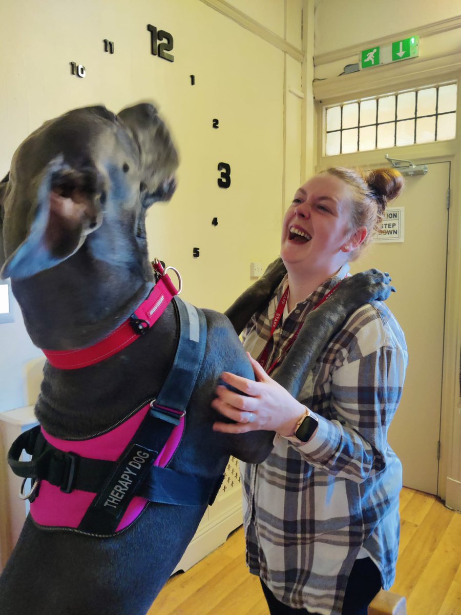paultmsmith's tweet photo. Our therapy dog Bella at Margaret House Care Home. Lancashire https://t.co/pjdlMoCQpI