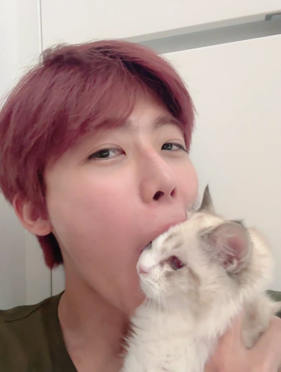 _onejeel432's tweet photo. น่ารักทั้งคนทั้งแมว น้องแจมินลุคนี้คือหน้าเด็กมาก ยิ้มหวานน่ารักโคตรรร🥺
#JAEMIN https://t.co/AMaDHVHYis