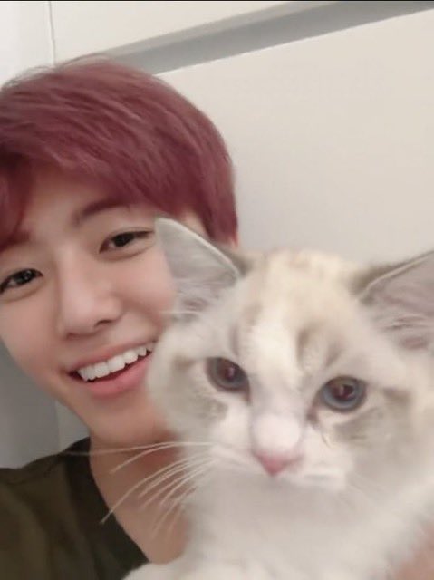 archivesnjm's tweet image. jaemin is so cute 🥹