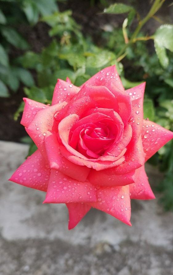 Kroumi ✍️ tweet media