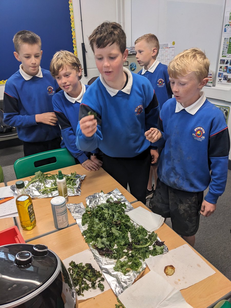 Our enthusiastic garden team had great fun digging up the spuds &amp; planting out remaining beans, radishes &amp; carrots. Plenty of chips cooked in the airfryer throughout the school in the last few days. Kale crisps were deemed much tastier than Taytos!