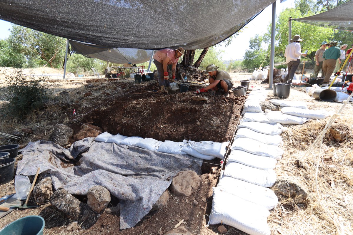 Before/After cleaning a 13,000 years old Natufian house  

⛏️⛏️Eynan-Mallaha excavation⛏️⛏️

#Archaeology #Prehistory #Natufian #Excavation