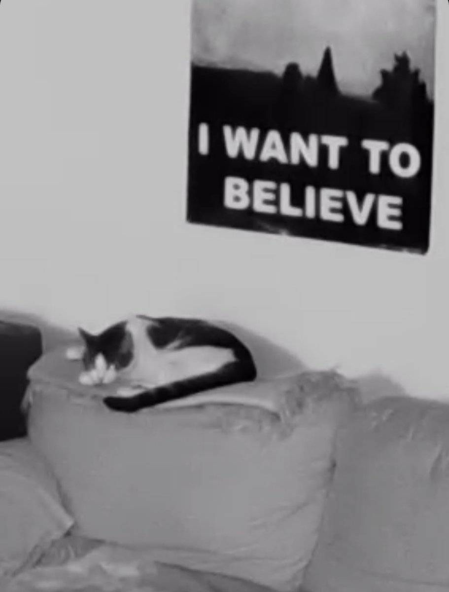 JordanFitz's tweet image. this ring cam is the best investment i’ve ever made