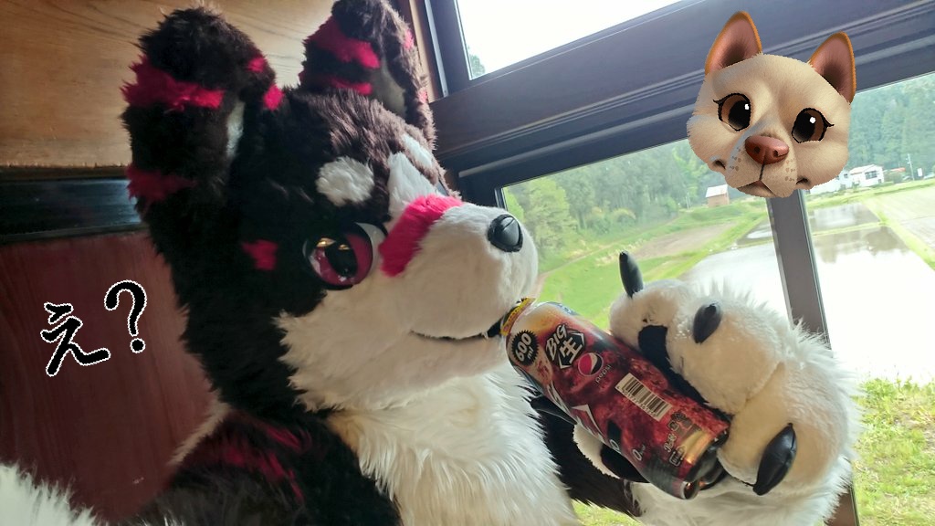 インターネットわんちゃんず - Search / X インターネットわんちゃんず - Search / X