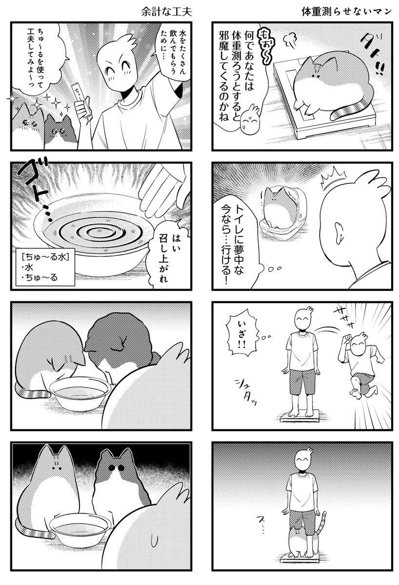 ねこコミックエッセイ(2/3)再掲 