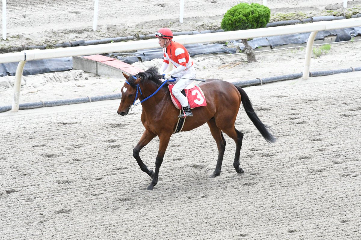 最新入荷】 Lawn Jockey (競馬の騎手像) メンズ | ids.rmutt.ac.th