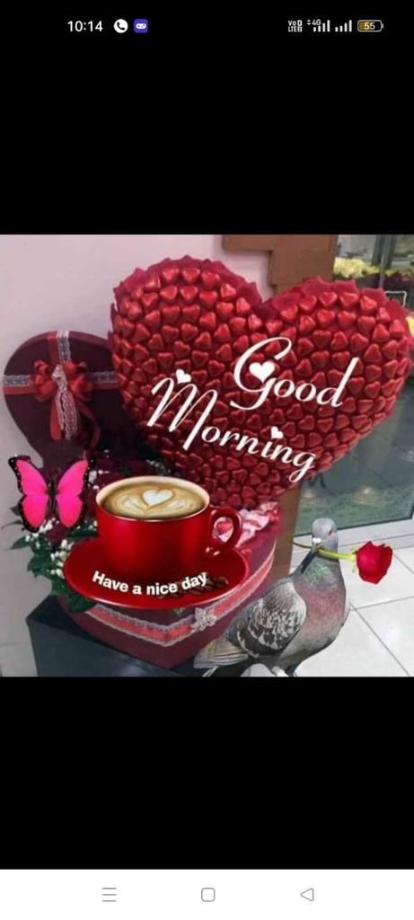 kuwar_hashmi's tweet photo. https://t.co/KAKL1Ob60w