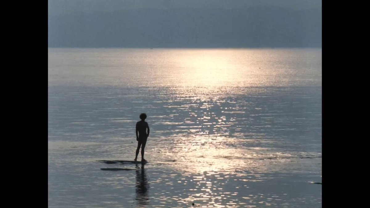 Lehtonen tweet media