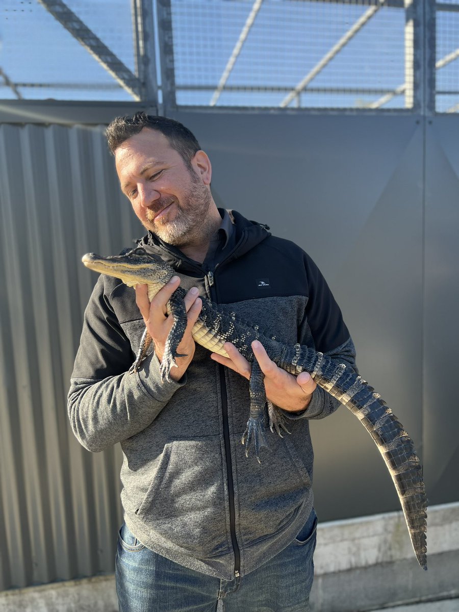 foolforaclient's tweet photo. Best way to end the FY, a behind the scenes tour of @symbiozoo to check out Bellinger River Snapping Turtles, Mixophyes &amp; Litoria. Got a few up close encounters too. Caught up with @HoggCarolyn and @Hollyvnelson to hear their next plans for BRST genetics under #SavingourSpecies https://t.co/C2OCBdvkd8