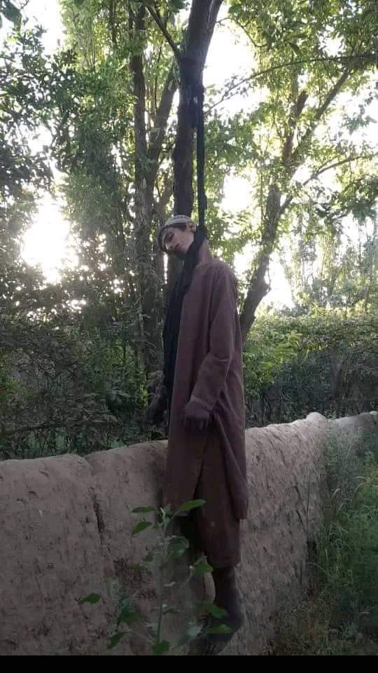 ahmad25736's tweet photo. یو ډیر بد او غمجن خبر ;

د کندهار د ارغنداب ولسوالۍ په سیدانو کلاچه کي یوه څوارلس کلن ځوان ددژوند دروزګاره په یوه باغ کي ځان ځړولی او ساه یې ورکړې.
هغه پرون شپه اوه بجې ورک سوی وو، نن شپږ بجې یې جسد وموندل سو، چي ځان یې پر یوه درخته ځړولی..لیکوال وفادار https://t.co/sMcs4kPCCS