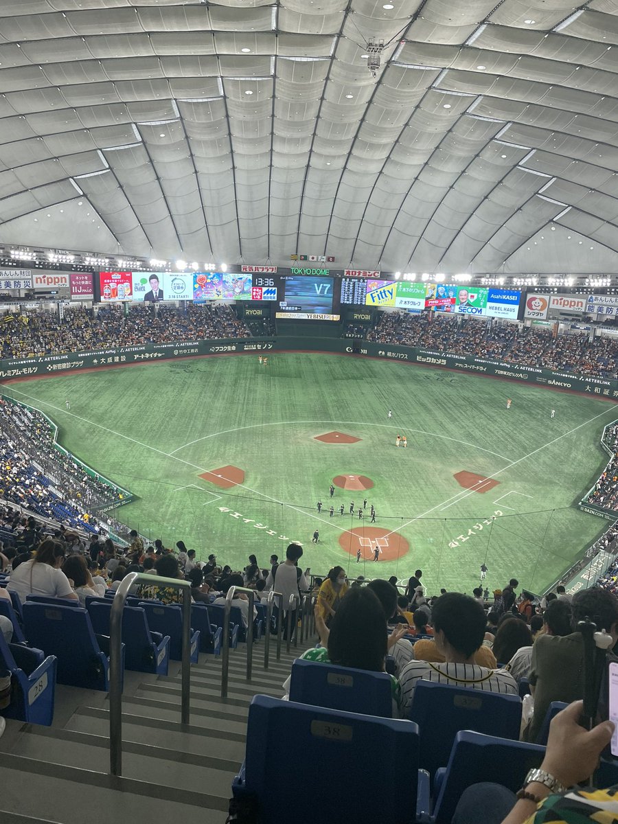 tiger_falllll's tweet photo. ここからなのです！！ https://t.co/xrTJu46SrT