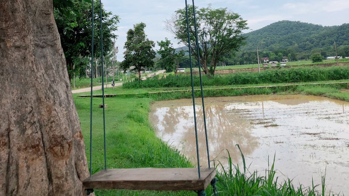 JaobearY's tweet photo. ณ ไร่แม่เหียะ🌲☁️✨ 
#รีวิวเชียงใหม่ #เชียงใหม่ #chiangmai https://t.co/ofmwRPEgVn