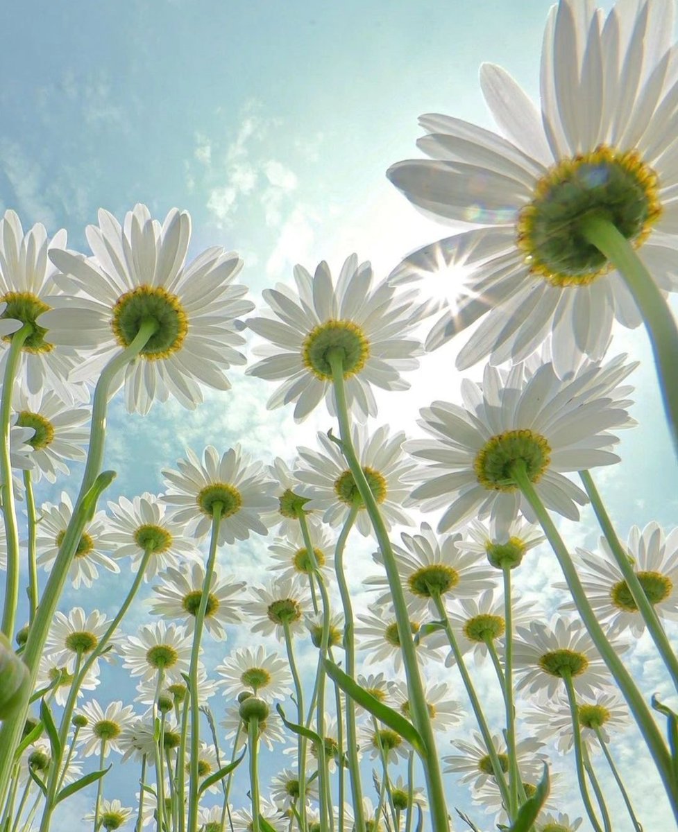 zazafontaine42's tweet photo. Bonjour mes Ami(es)💚
Je vous souhaite une belle et douce journée pleine d'amour
Soyez prudent(es) et prenez soin de vous💚 https://t.co/BavBx1l7gM