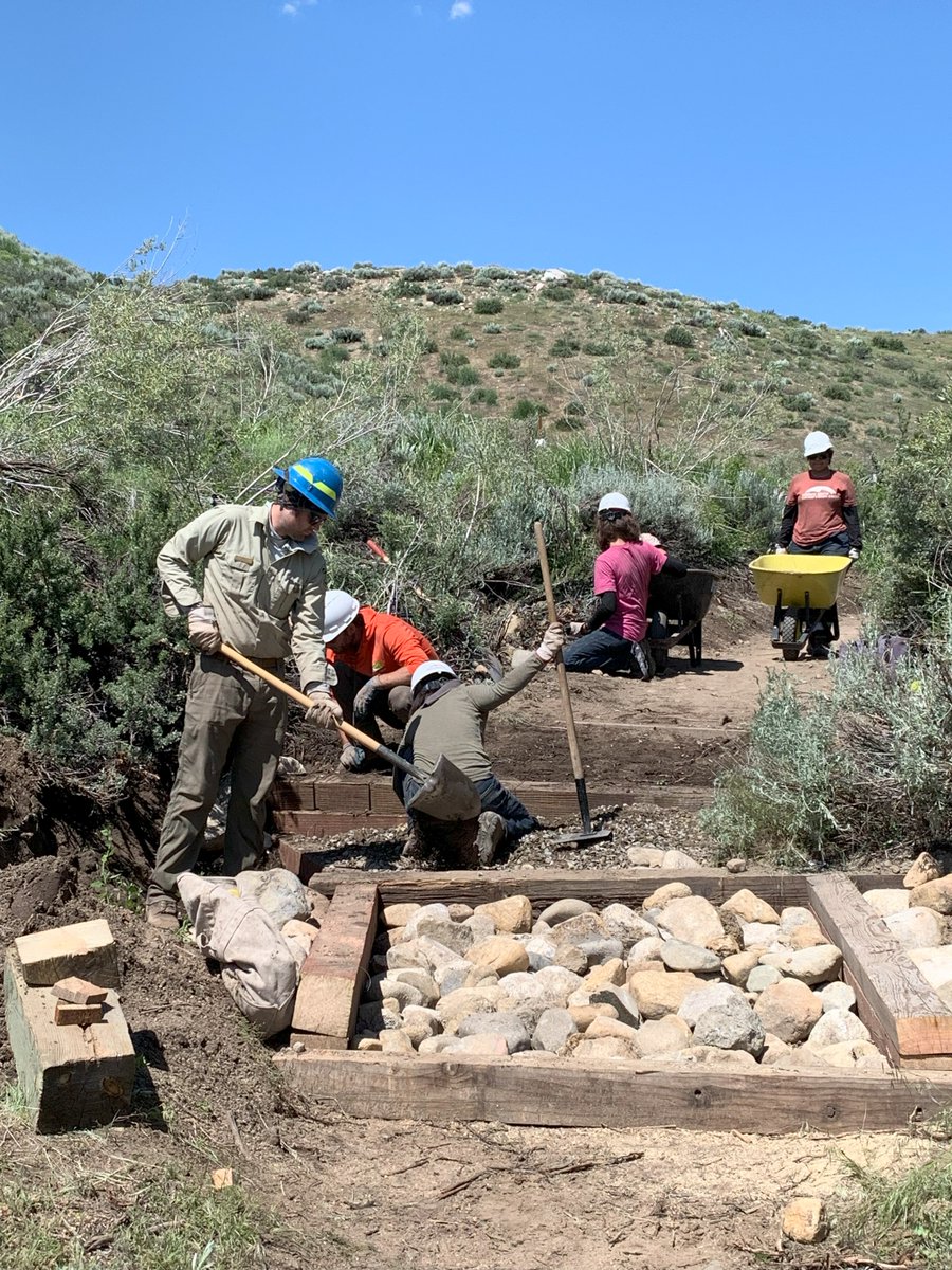 FriendsofInyo's tweet photo. The Upper Lower Rock Creek mountain biking/hiking trail, which was damaged by snowmelt, was lovingly rebuilt this week by #InyoNationalForest , #MammothTrails , #EasternSierraConservationCorps , and #FriendsoftheInyo. Thanks to all the hard working hands that provided much TLC. https://t.co/IJuHvKaZUu