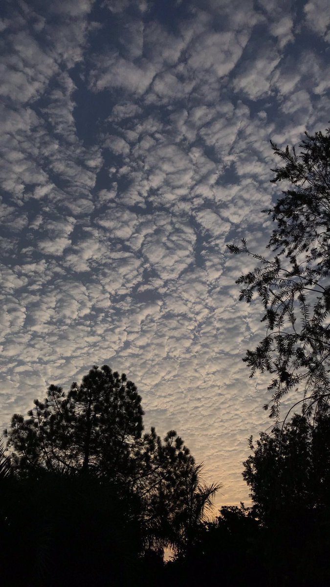 itstipusultan's tweet photo. Mornings https://t.co/R1JnML39bt