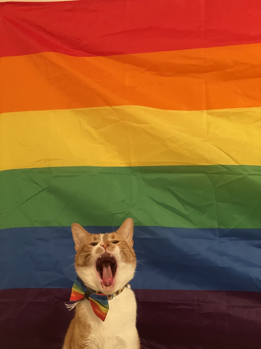 WELCOME TO GAY WRATH