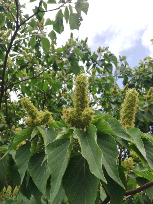 Na3’s pics and videos