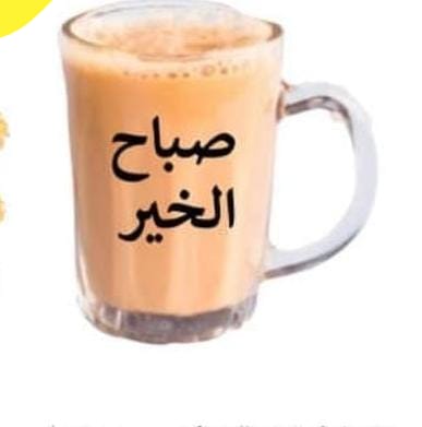 صباحكم فل 🌷🌷❤