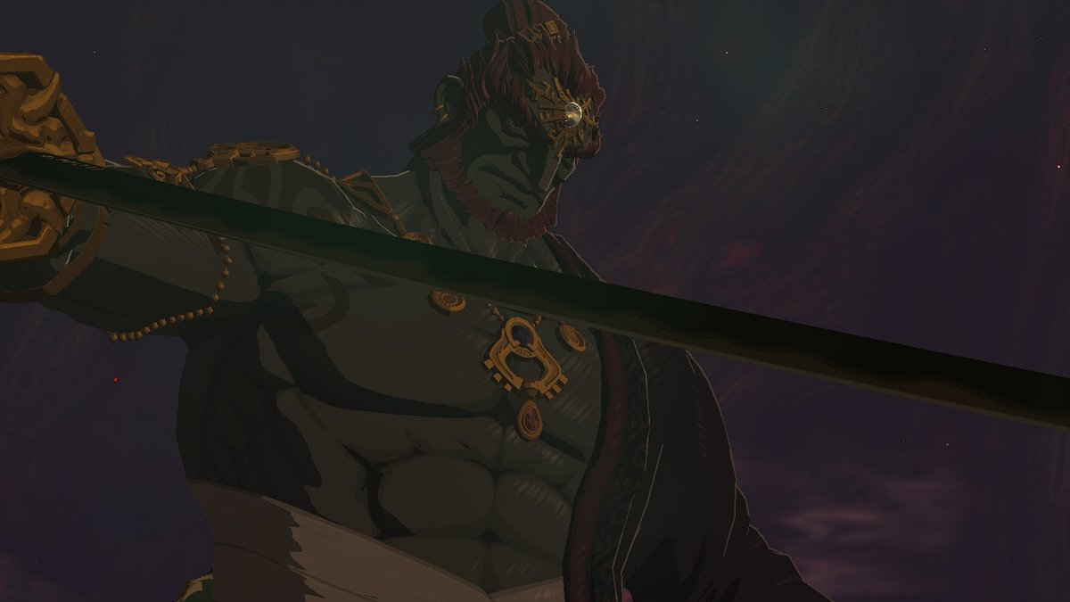 Andr16032005's tweet photo. Simplemente hermoso #TearsOfTheKingdom #Zelda #NintendoSwitch https://t.co/O3T9ukWjj4