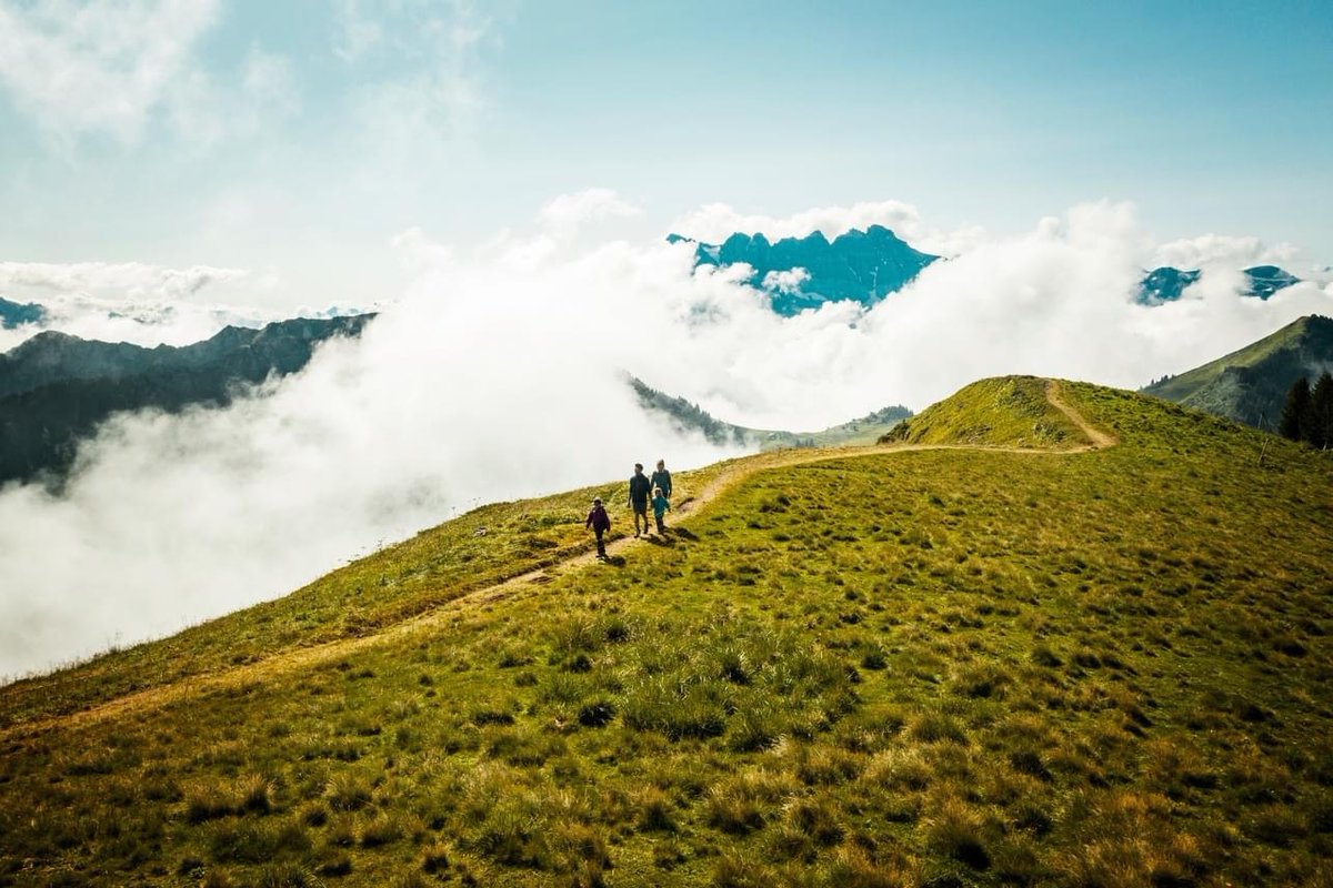 InTheSnow Magazine tweet media