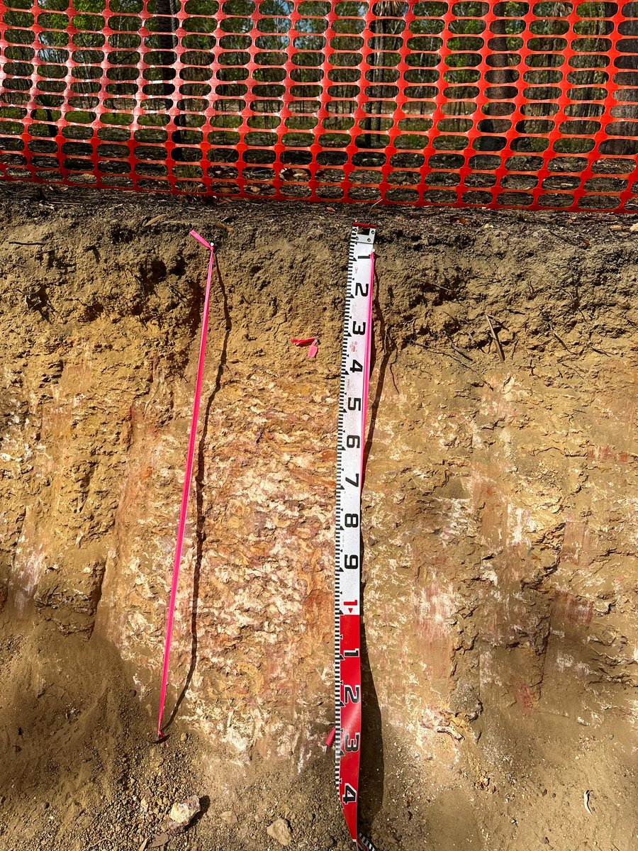 Edward Scott tweet media