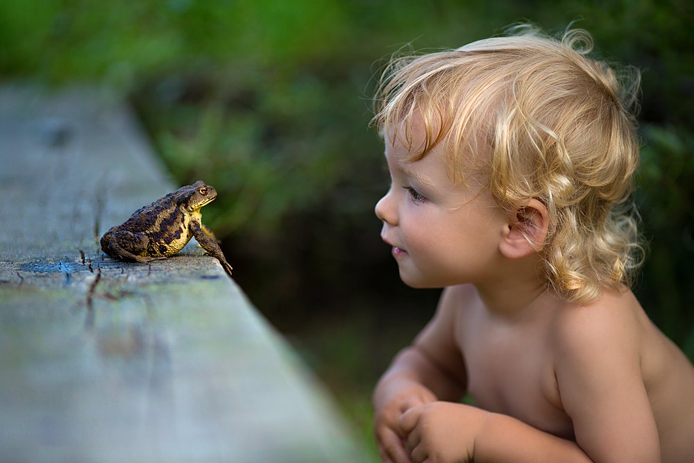 Are you a princess? Are you sure? by Svetlana Kvashina