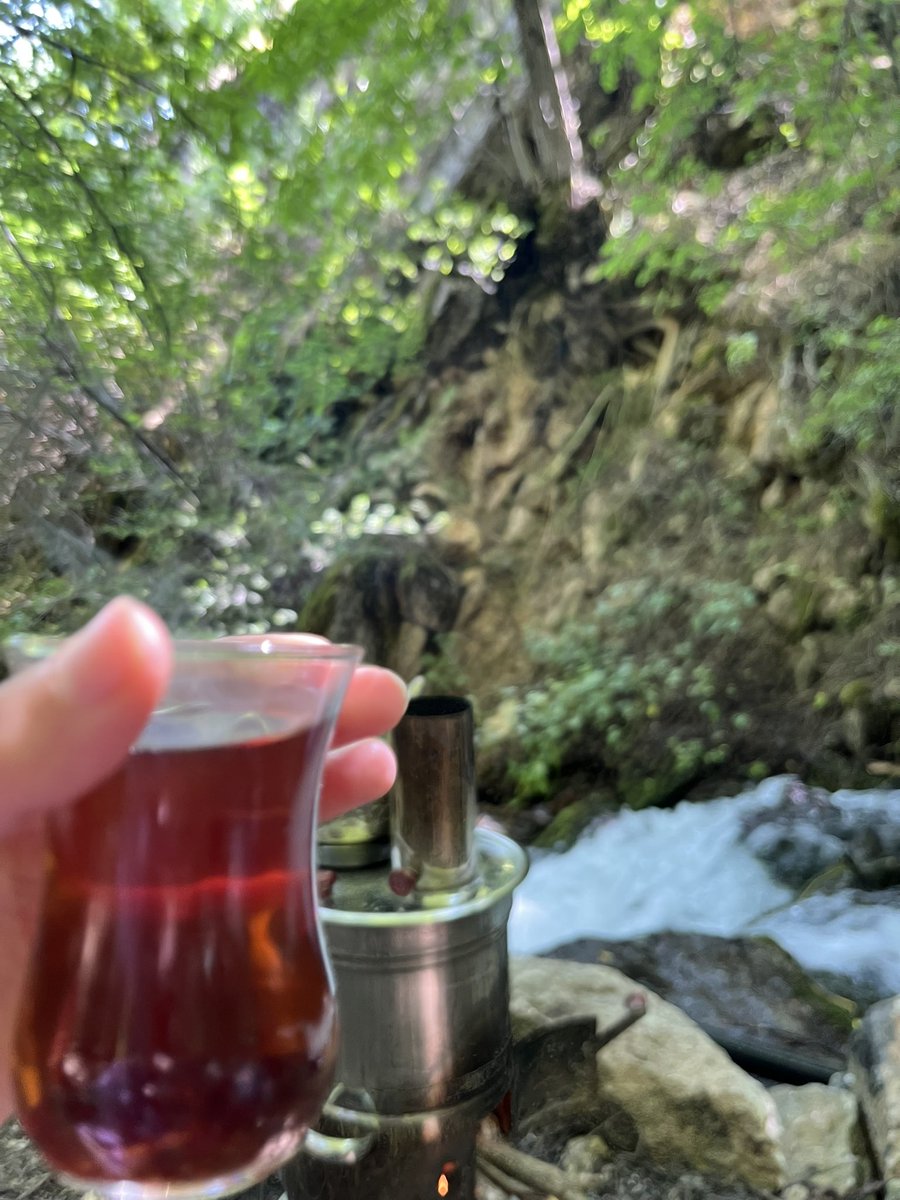 _arzushn's tweet photo. Köy’ 🍃 https://t.co/EVwh6BCPvt