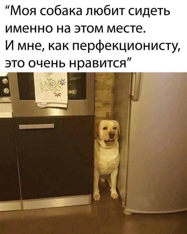 🕛🕒Theft of Time 🕕🕘 (@theftoftime) on Twitter photo 