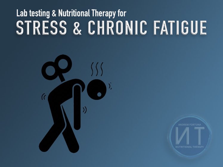 Experiencing #stress or chronic fatigue? Lab testing can help evidence the safety & efficacy of Nutritional Therapy to support ur symptoms, ↓ long-term #disease risk & optimise ur #health & #wellbeing visit andrewfortuna.com #wellnesstravel #healthtravel #Gibraltar #Malaga