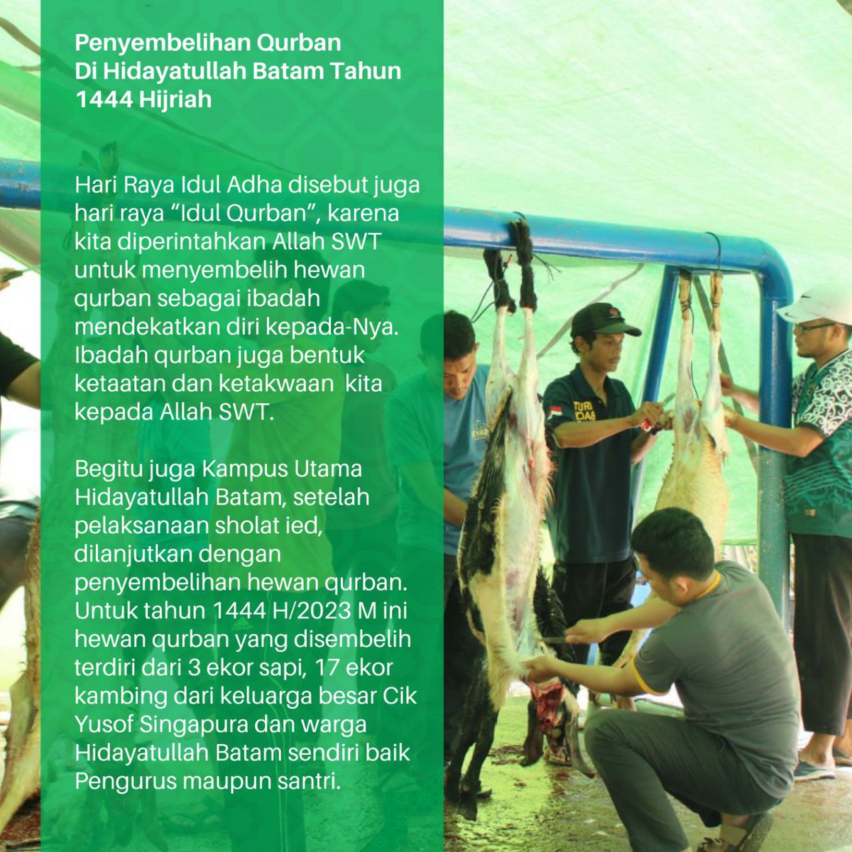 pphidabatam's tweet photo. Qurban Hidayatullah Batam 1444 Hijriah

#qurban #hidayatullah https://t.co/08GyQ3RP4b