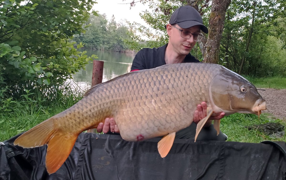 CarpSlo's tweet photo. Look at that belly 💪💪💪💪😁😁😁

#carp #carpfishing #fishing #fishinglife #angling #ribolov #slovenia https://t.co/yqvJnk15iR
