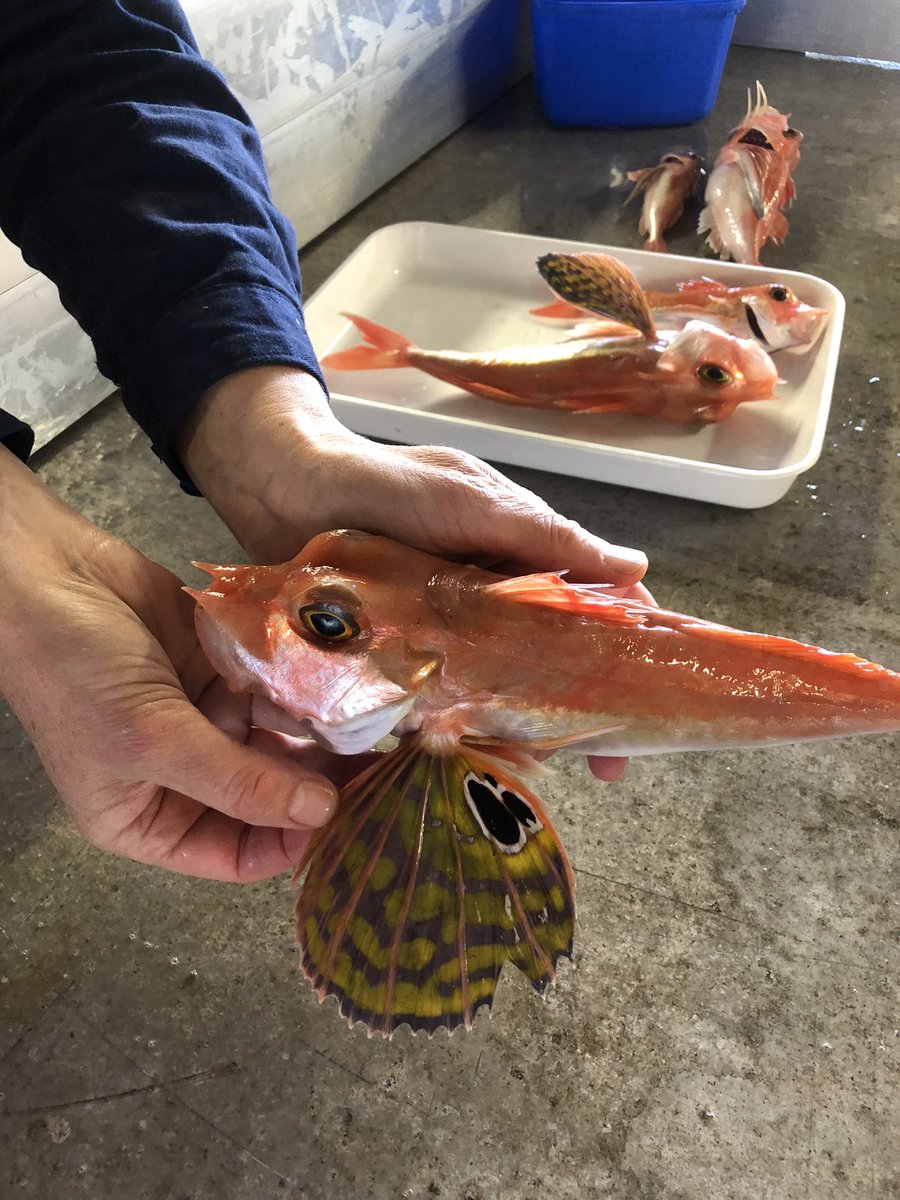 Lorne Richard Little tweet media